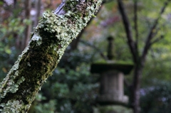 IMG_1809　善法律寺