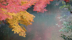 京都　南禅寺紅葉