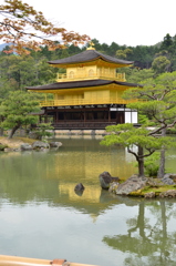 金閣寺