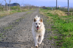 ルンルン