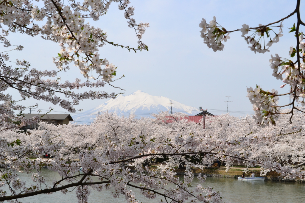 春の岩木山