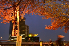 2012夜桜