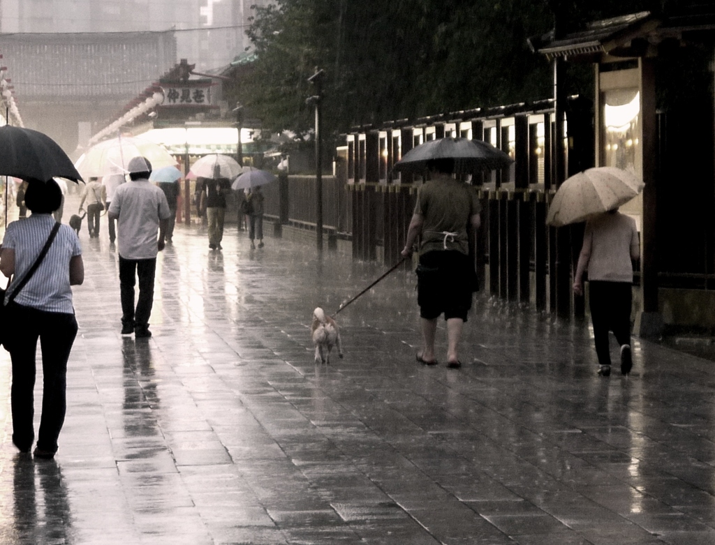 雨の浅草寺