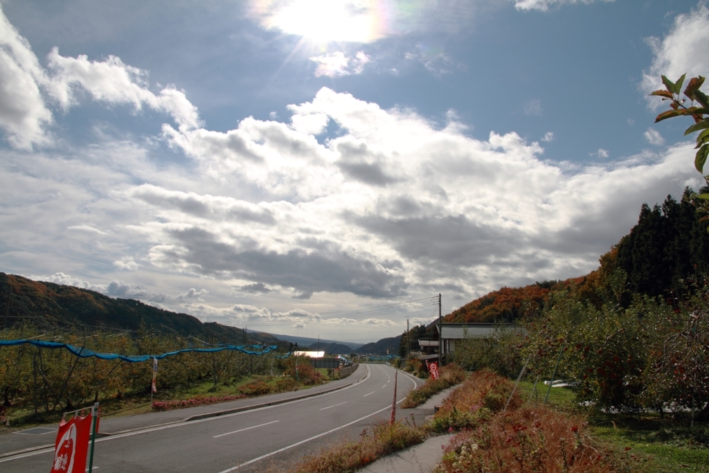 玉原アップルロード