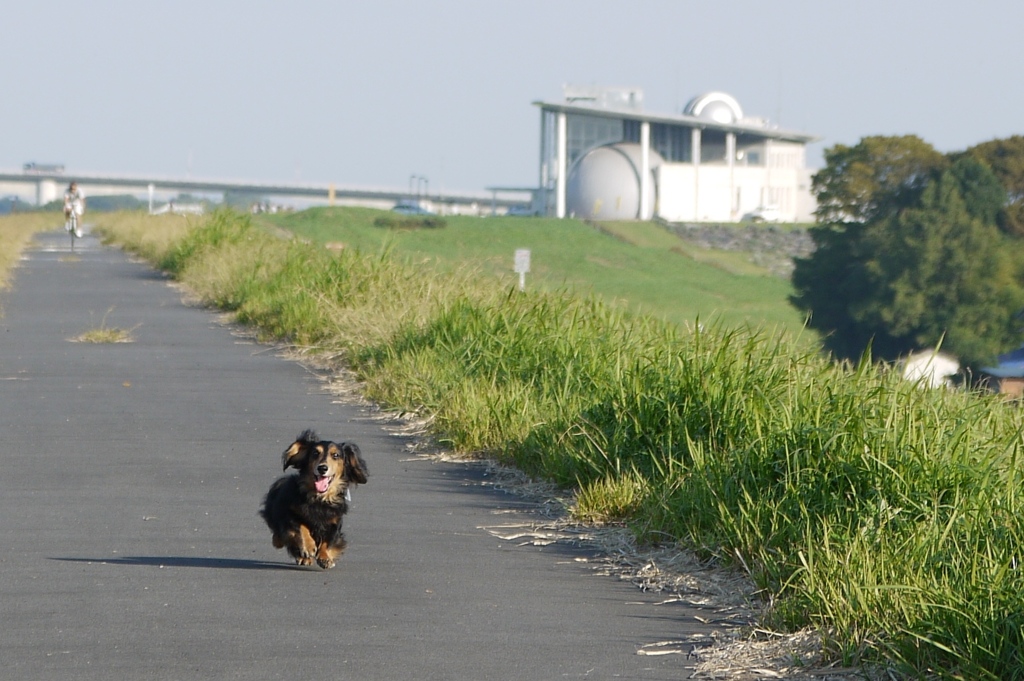 未来館とレオ