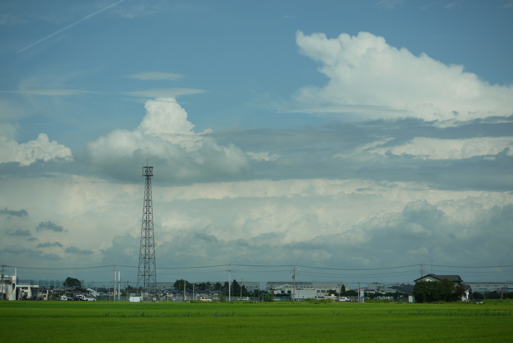 夏の空