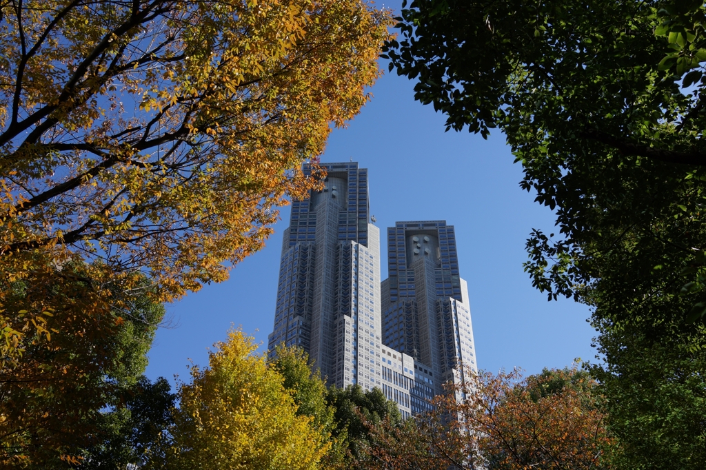 新宿中央公園