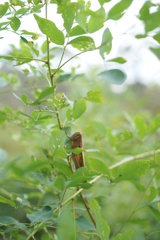 こんなとこにいやがったかライダー！！