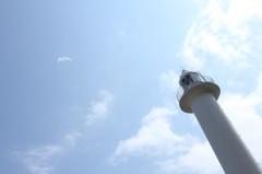 照らしまっせ～
