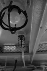 電球だねぇ