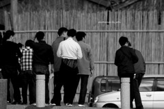 赤信号、みんなで渡れば怖くない