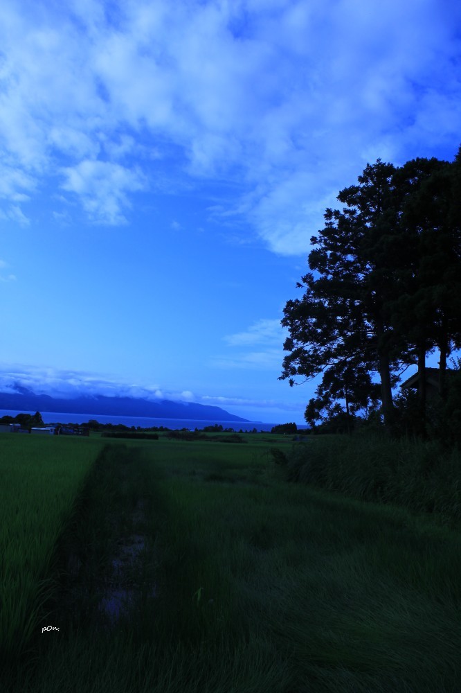 田んぼと木と空と山と海