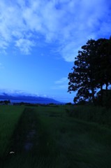 田んぼと木と空と山と海