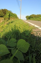 ちょっと涼もうよ～