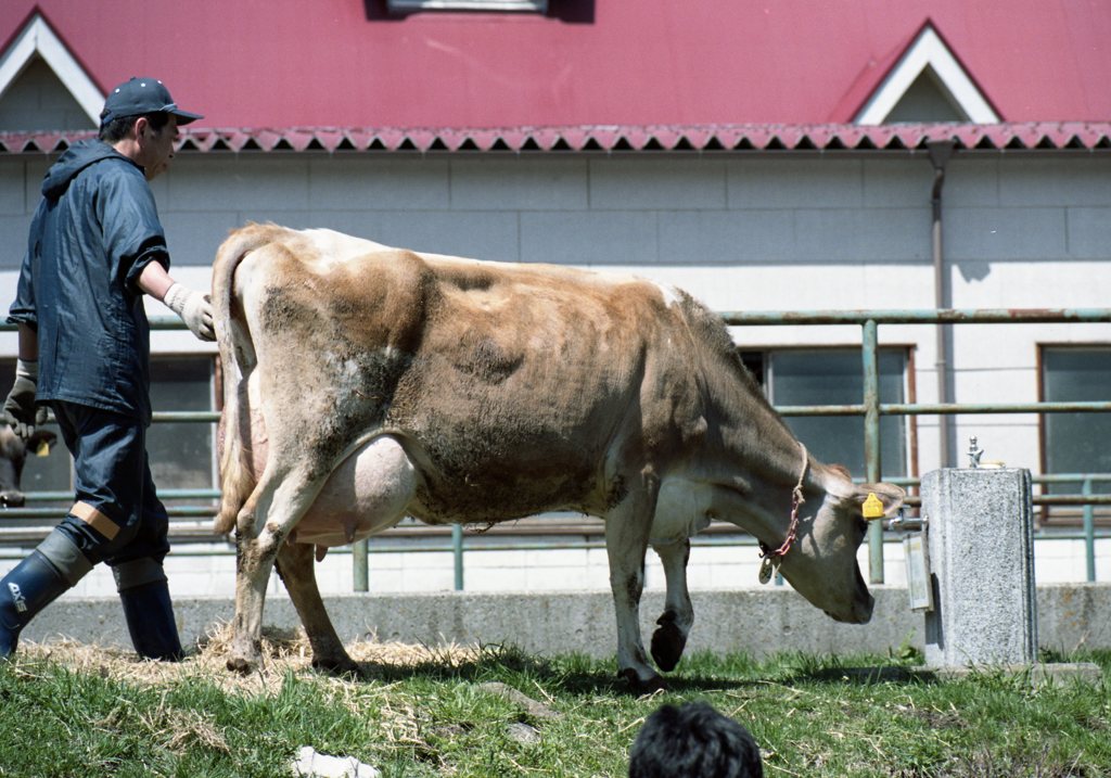 portra160_429