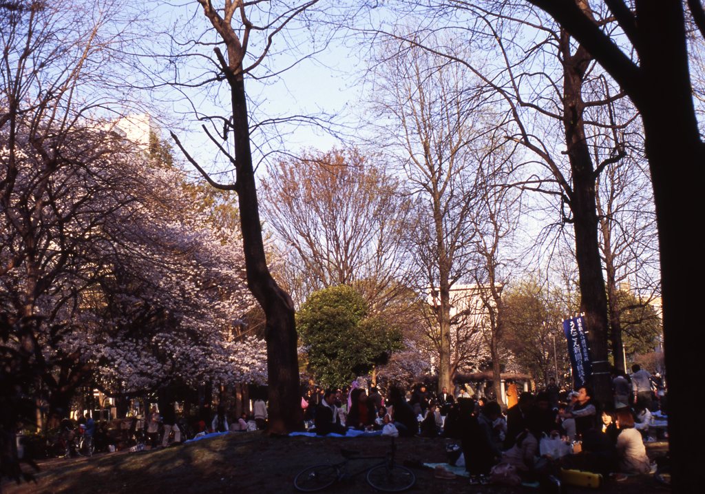 velvia100f_253