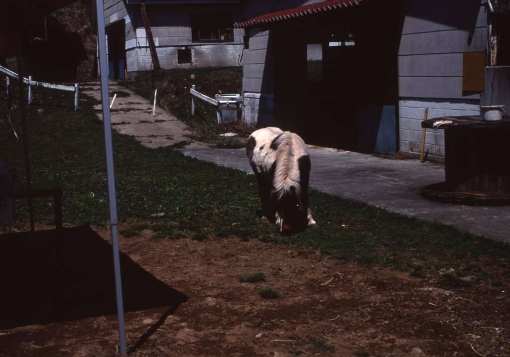 velvia50_478