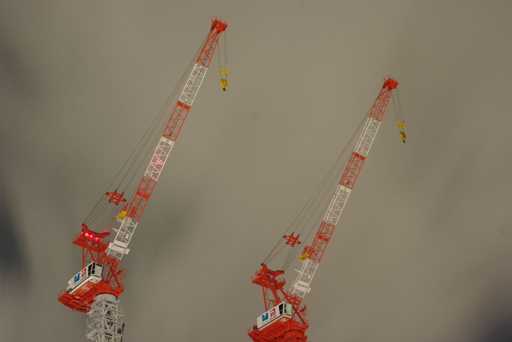 IMGP2853