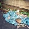 profotoXL100_074