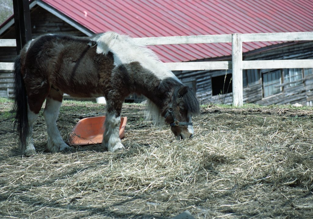 portra160_427