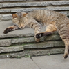IMGP8840