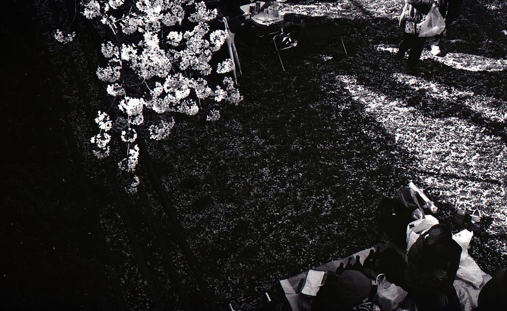 fp4_125_602