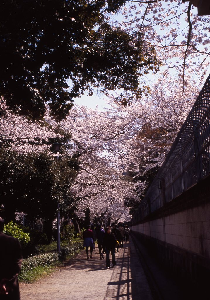 velvia100f_246