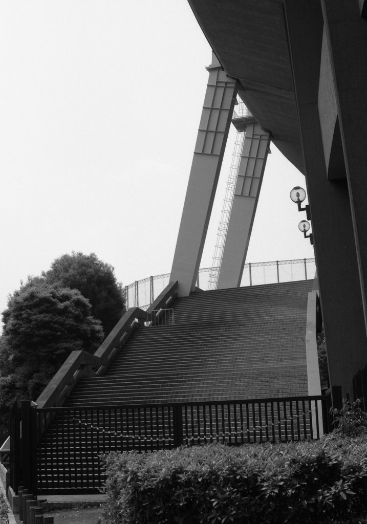 panfplus_599