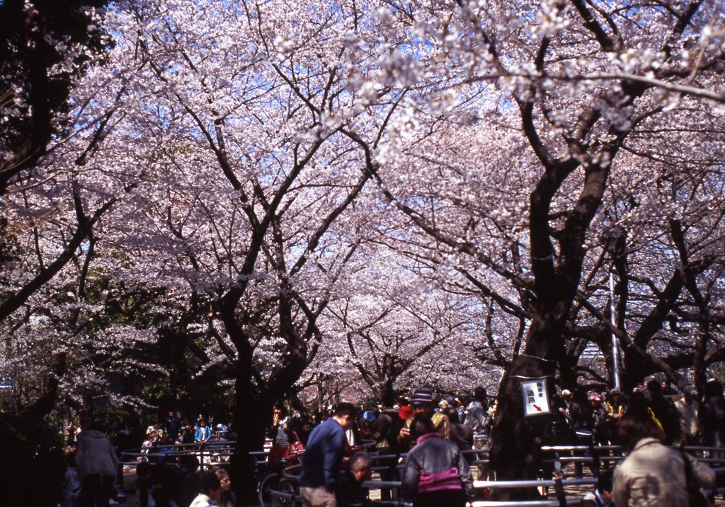 velvia100f_244