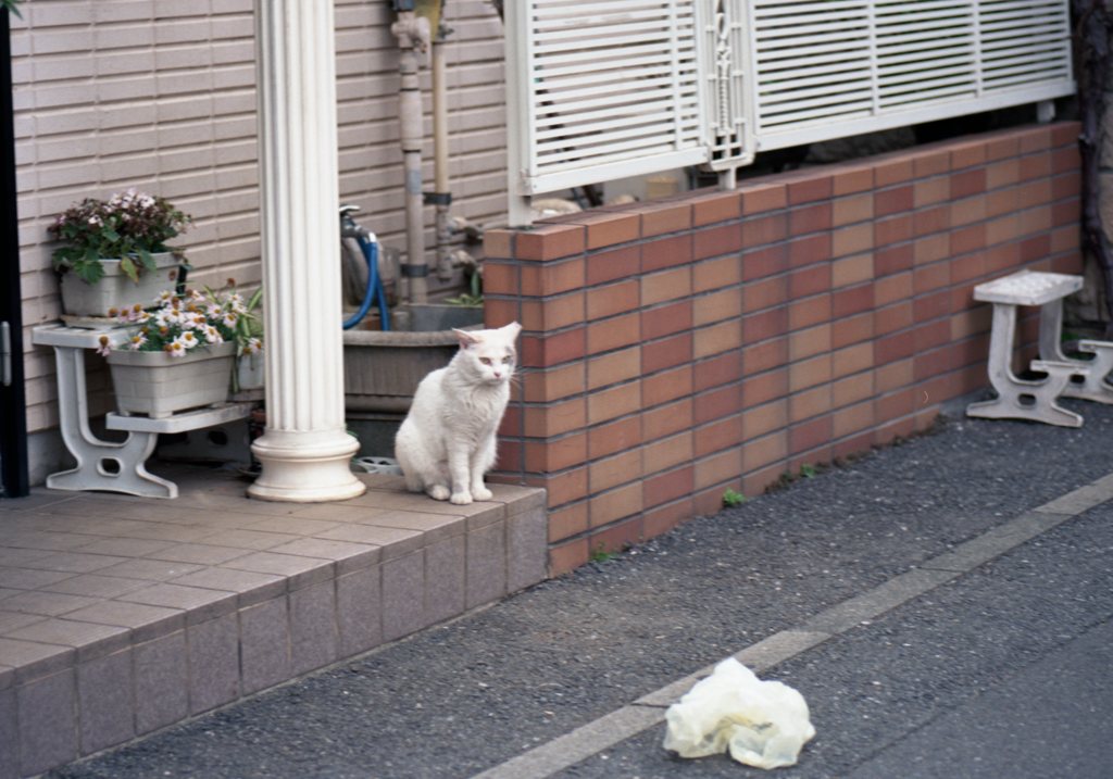 ektar100_402