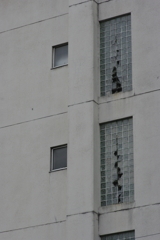 IMGP0405
