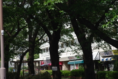 IMGP8814