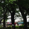IMGP8814