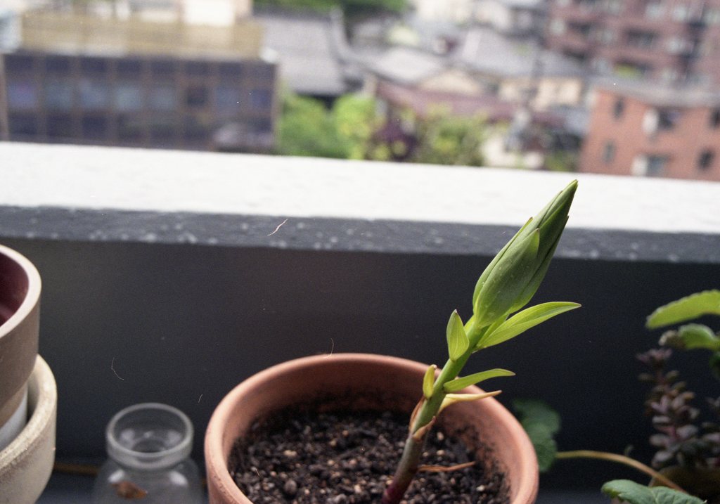 pro400_322
