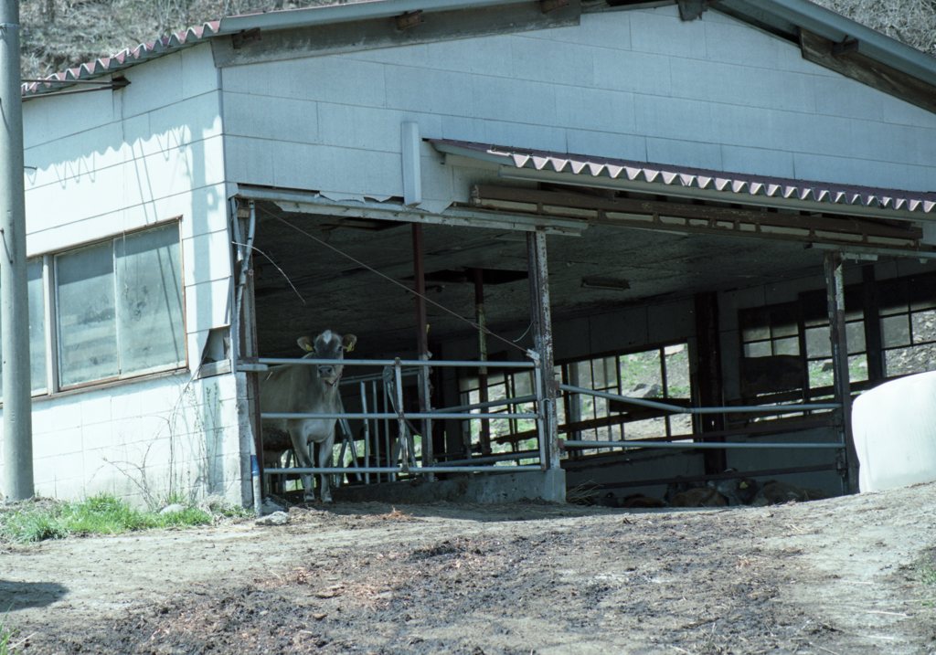 portra160_426