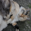 IMGP6548