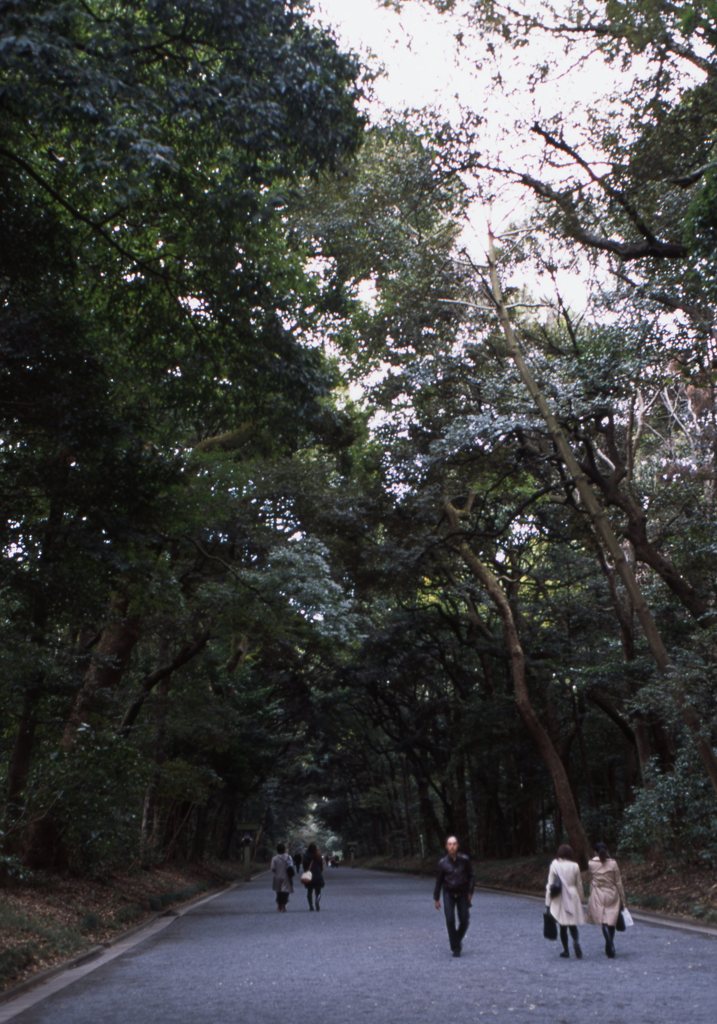 provia100f_242