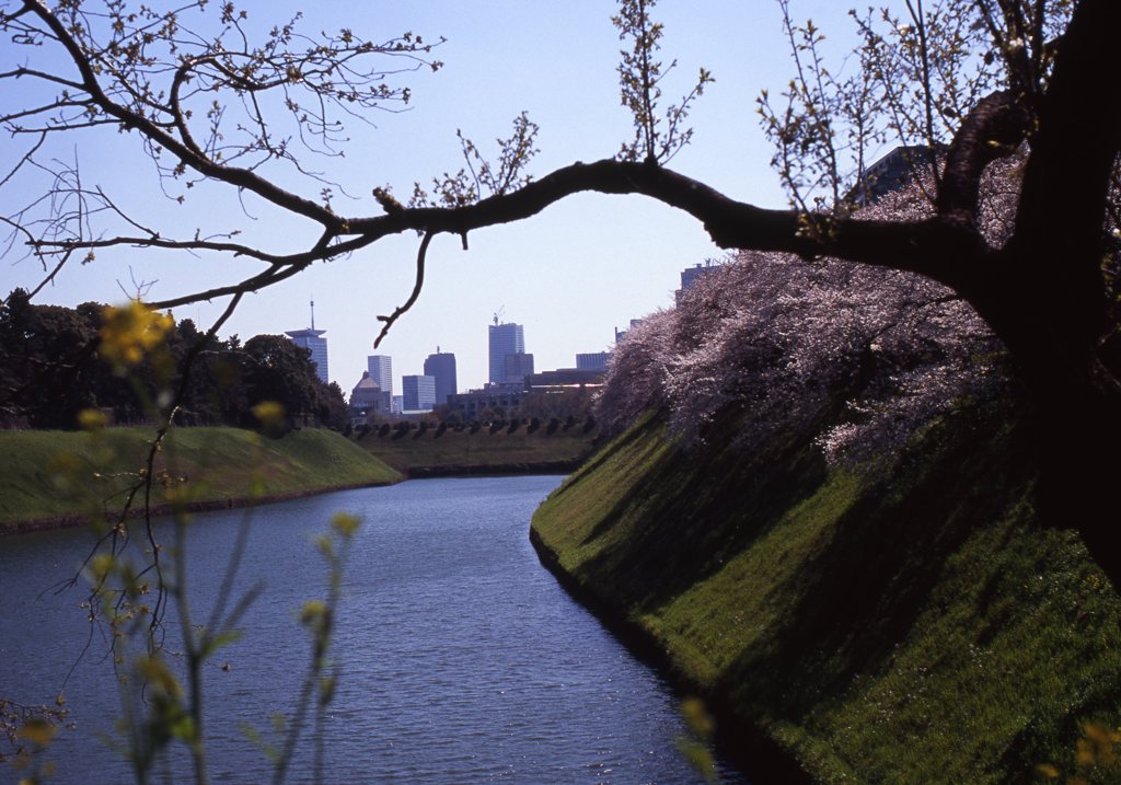 velvia100f_245