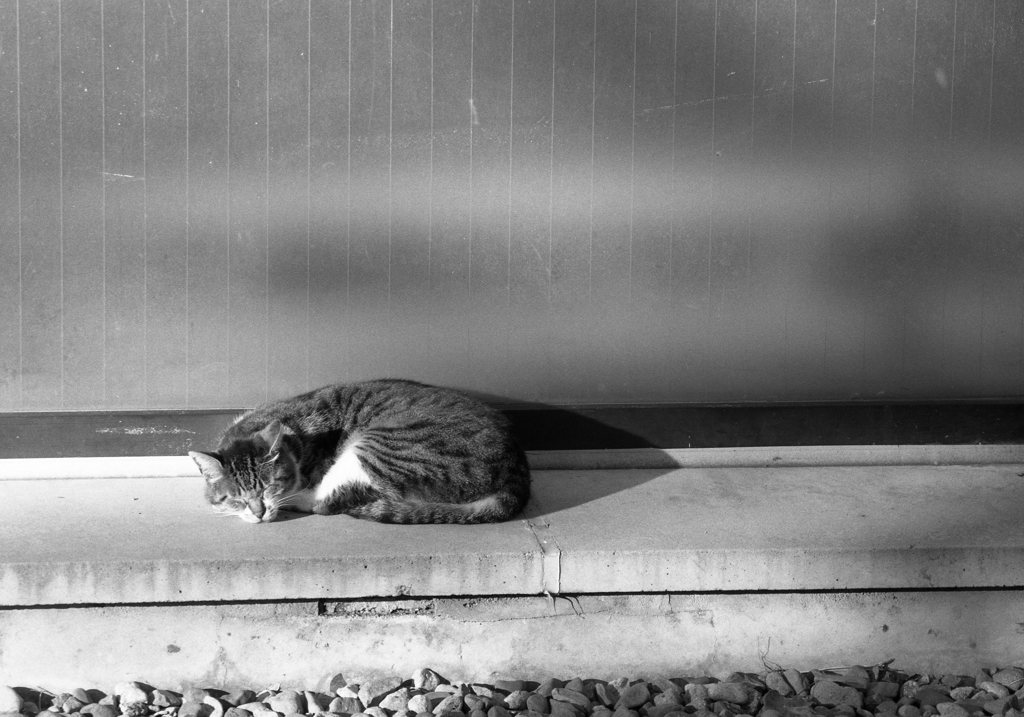 neopanss_100_065
