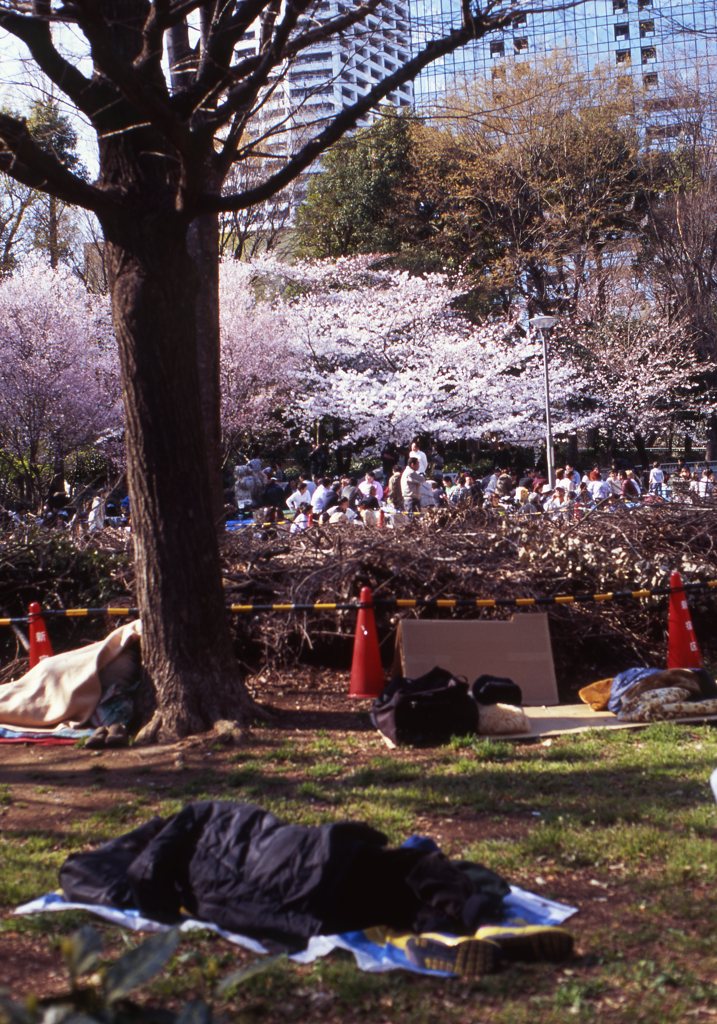 velvia100f_248