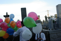 IMGP0048