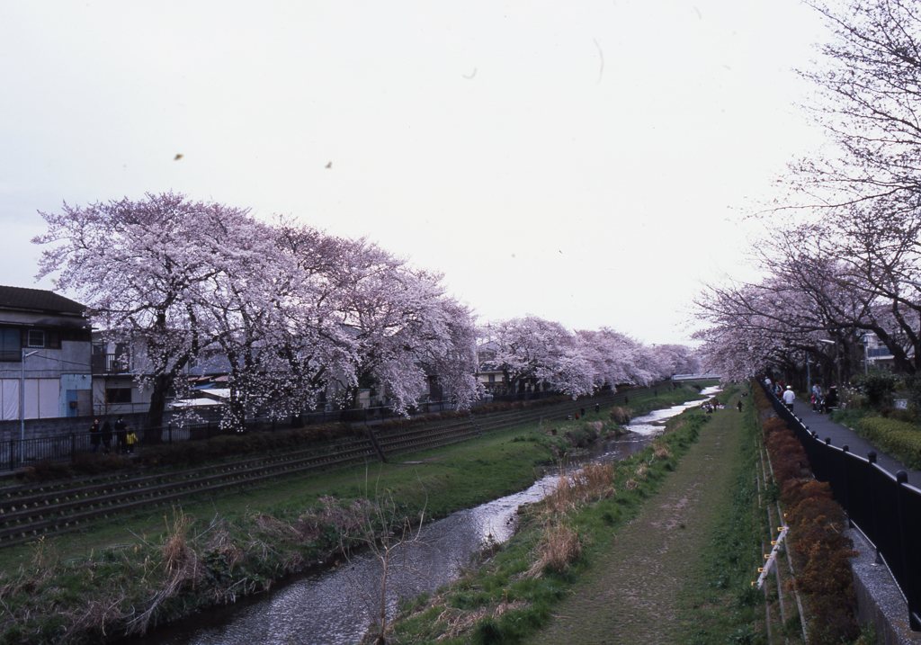 provia100f_336