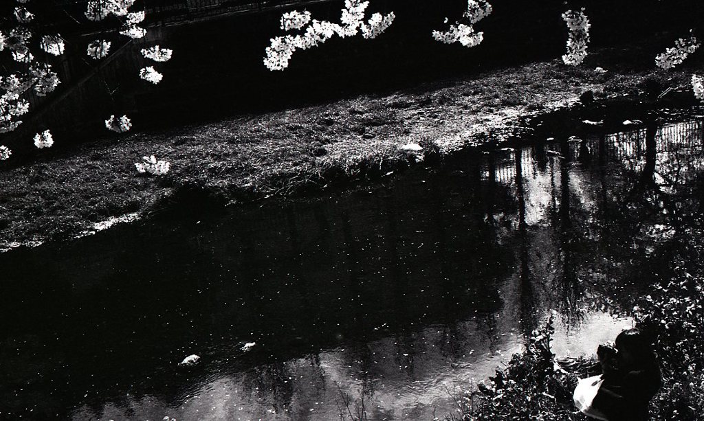 fp4_125_590