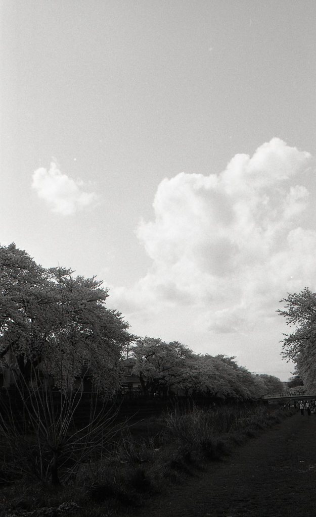 fp4_125_595
