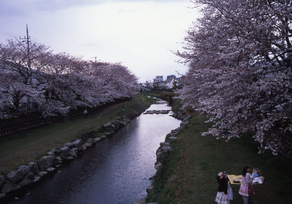provia100f_339