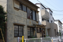 IMGP8772