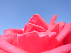 RIMG0634