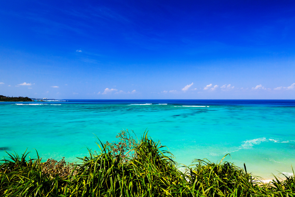 Summer sea