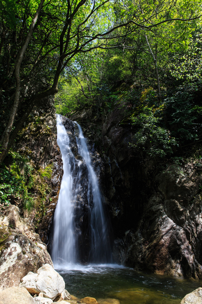 楊梅の滝、雌滝