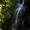 二本滝
